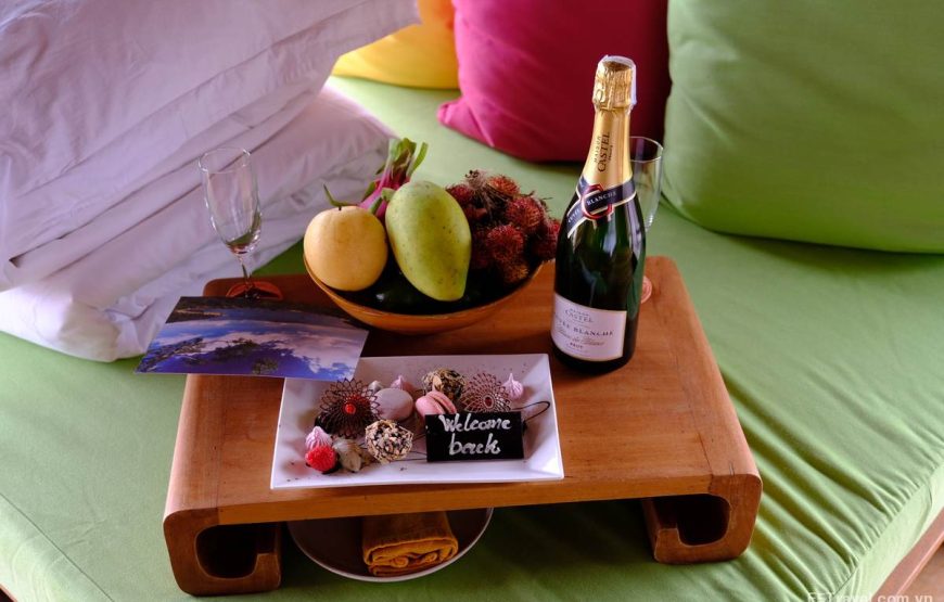 Tour mẫu trong nước Style2 – Tour du lịch Hà Nội – Nha Trang – Đà Lạt (5 ngày 4 đêm)